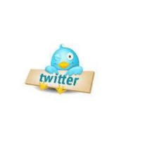 Twitter bird